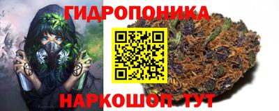 соль ск Ставрополь