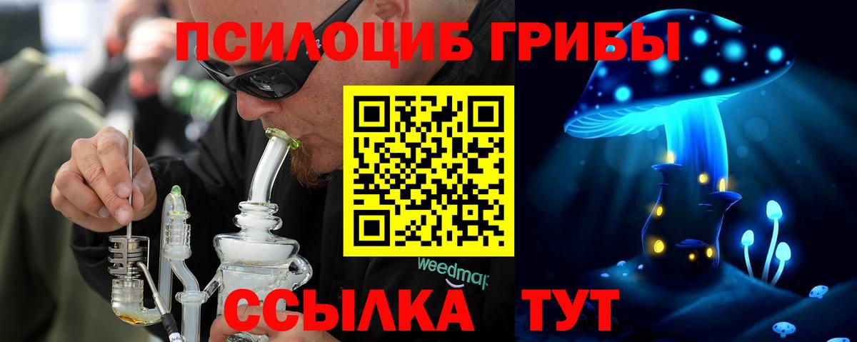 Псилоцибиновые грибы Magic Shrooms Можга