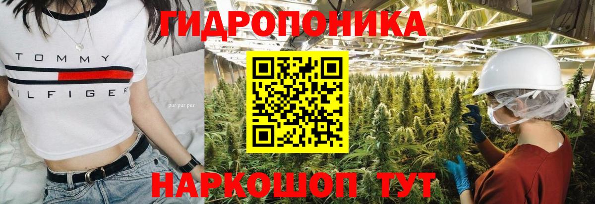 Конопля марихуана Можга